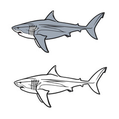 Shark. Drawing with line art. Hand drawn. Cartoon. Megalodon. Predator. Easy to edit. Vector illustration