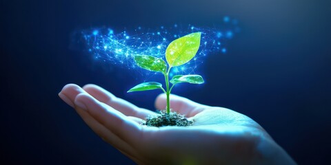 A hand holding a small plant with digital data symbols hovering above, symbolizing eco-friendly advancements.