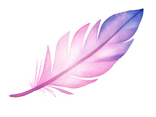 Obraz premium Beautiful watercolor feather illustration in pink and blue tones with soft gradients on a transparent background