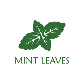 green mint leaf design icon logo