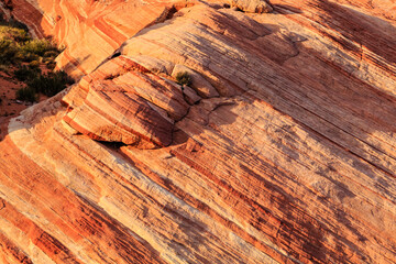 A rock formation with a plant growing out of it