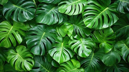 Tropical green leaves texture seamless background for nature inspired designs and natural wallpapers showcasing vibrant foliage