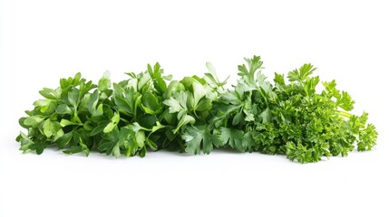 Obraz premium Onion vegetable bulb alongside fresh parsley leaves arranged artistically in a still life composition, isolated on a clean white background, culinary, cooking, healthy eating.