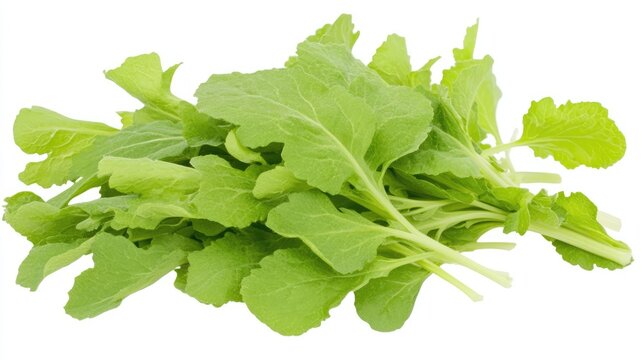 Freshly harvested bathua leaves, Chenopodium album, showcasing vibrant green foliage, commonly used in winter dishes and healthy recipes.