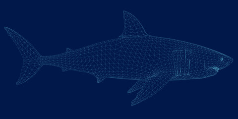 Wireframe Abstract shark form lines and triangles, point connecting network on blue background. Illustration vector. 3D. Side view