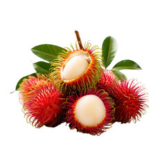 rambutan fruit