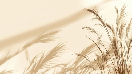 Silhouette of pampas grass casting natural shadows on a soft beige wall, creating a tranquil and minimalist aesthetic, decor, nature, light and shadow play.