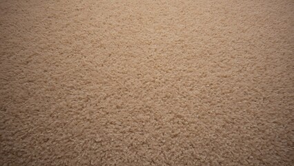 High-Resolution Detailed Brown Carpet Texture Background - Stock Photo Image