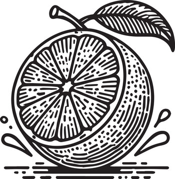 Orrange vector on white background