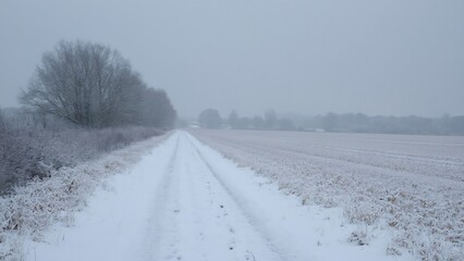 Fototapeta premium Serene Winter Landscape, Snow-Covered Trail Through Open Field with Trees and Overcast Sky