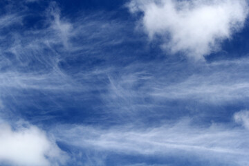 Obraz premium Wispy feathery clouds scattered across a blue sky textured background