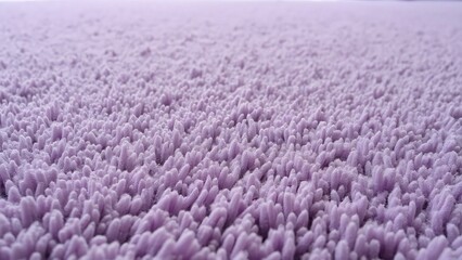 Close-up of Luxurious Light Purple Plush Carpet Texture, Soft, Inviting Home Decor & Interior Design Fabric