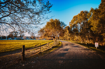 Fototapeta premium Camden is a historic town and suburb of Sydney, New South Wales, located 65 kilometers south-west of the Sydney central business district.