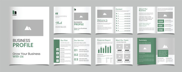 Elegant brochure company profile template and business profile design