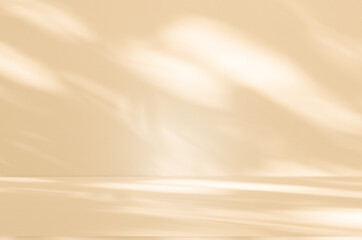 Wall interior background, studio and backdrops show products. with leaf shadow from window color green and white. background for text insertion and presentation of product	