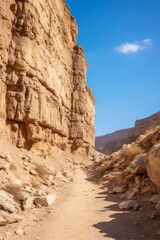 Fototapeta premium A dirt road winding between rocky cliffs in a desert landscape.