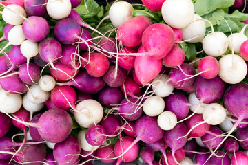 Fresh Organic Radish Produce Farmers Market