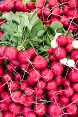 Fresh Organic Radish Produce Farmers Market