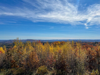 Fototapeta premium tree mountain vermont america fall autumn orange season vibrant