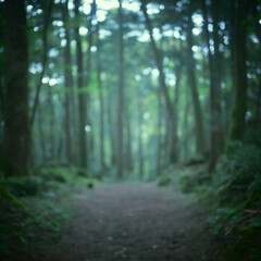 樹海あの場所に通じる秘密の道。