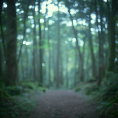 樹海。苔むす森。映画の中の幻想的な世界。