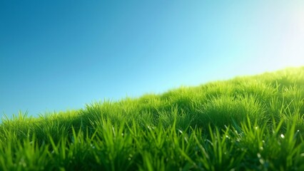 Obraz premium Vibrant Green Grass Hillside Under Clear Blue Sky, Stunning Low Angle View of Lush Grassland in High Definition Sunlight