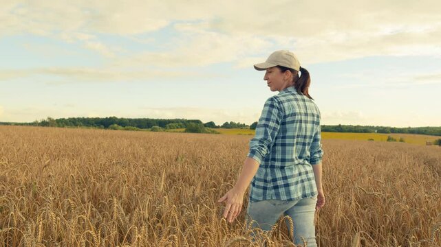 Agricultural Industry. Businesswoman Inspects Her golden Wheat Field. Farming Farm Field. Wholesale Grain Trading On Futures. Moves slowly.