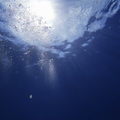 Fototapeta premium Beneath the Surface, Sunlight Dances on Ocean Waves Creating a Serene Underwater Realm at Mid-Afternoon