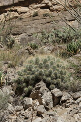 Big Bend National Park, Texas