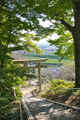 高台の神社からの眺め