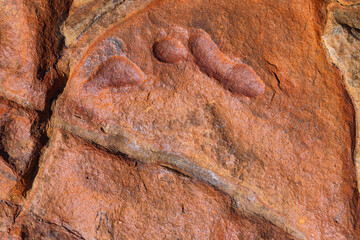 Abstract red rock on shiny surface textures, sandstone background.
