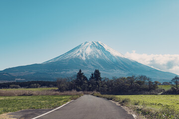Fototapeta premium 富士山へ一直線に向かう一本道