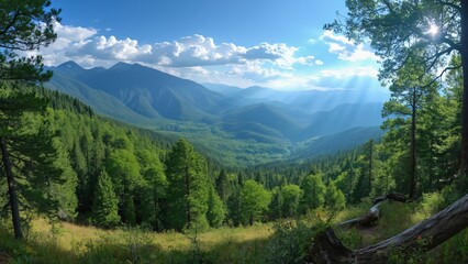 Fototapeta premium Stunning New Mexico Forest Landscape, Lush Green Valley, Majestic Mountains, and Azure Sky