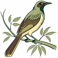 illustration of a bird
