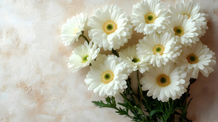 White Daisies Bloom Brightly on Textured Background