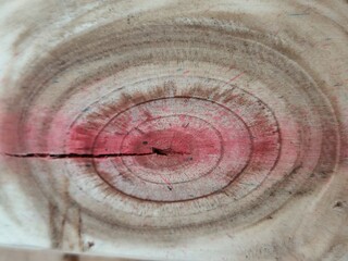 Close-up of a pine wood texture with natural grain and rough bark.