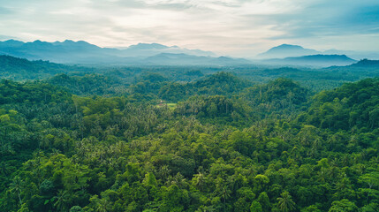 Obraz premium Lush tropical rainforest landscape with distant mountains during sunrise in a serene setting
