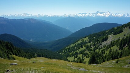 Obraz premium Aerial View of Olympic National Park, Washington State's Majestic Mountains, Lush Forests, and Snow-Capped Peaks