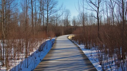 Fototapeta premium Serene Winter Walk, Wooden Boardwalk Winding Through Snow-Covered Woods, Leafless Trees, and a Clear Blue Sky