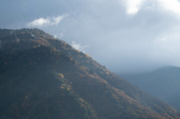 秋の山