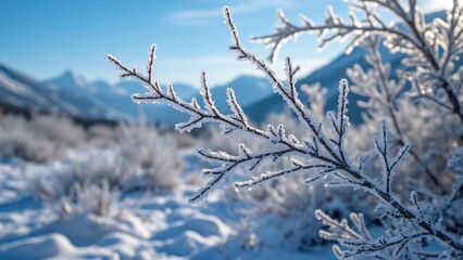 Obraz premium Stunning Close-up, Frost-Covered Branches Against a Snowy Mountain Winter Landscape. Intricate Ice Crystals on Twigs, Breathtaking Winter Scene with Blue Sky.