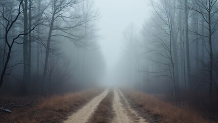 Obraz premium Misty Winter Forest Path, Foggy Dirt Road in Woods, Photorealistic Scene