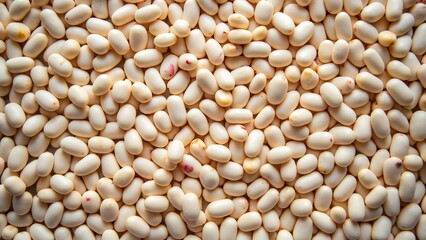 Aerial View of Scattered White Beans, Creamy, Red-Spotted, James Spread Style Photography