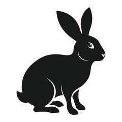 black and white rabbit