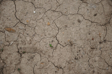 Dry cracked soil. Top view of dry field, natural background