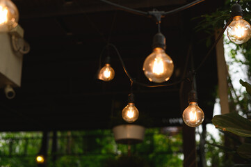 vintage light bulb hanging from grape tree for decoration outdoor garden.