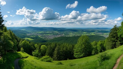Obraz premium Stunning Panoramic View of the Black Forest, Germany, Lush Summer Landscape with Rolling Hills and Distant Town