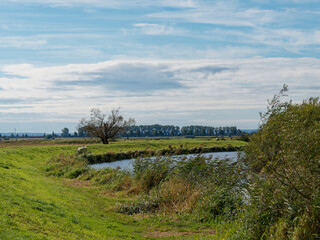 Die Hunte im Ochsenmoor am D&uuml;mmer See bei H&uuml;de, Naturpark D&uuml;mmer, Landkreis Diepholz, Niedersachsen, Deutschland