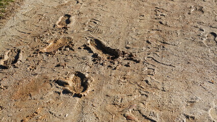 Several footprints on the wet sand land after the raining