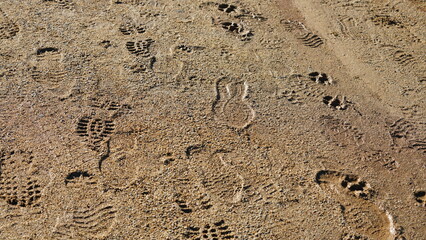 Several footprints on the wet sand land after the raining